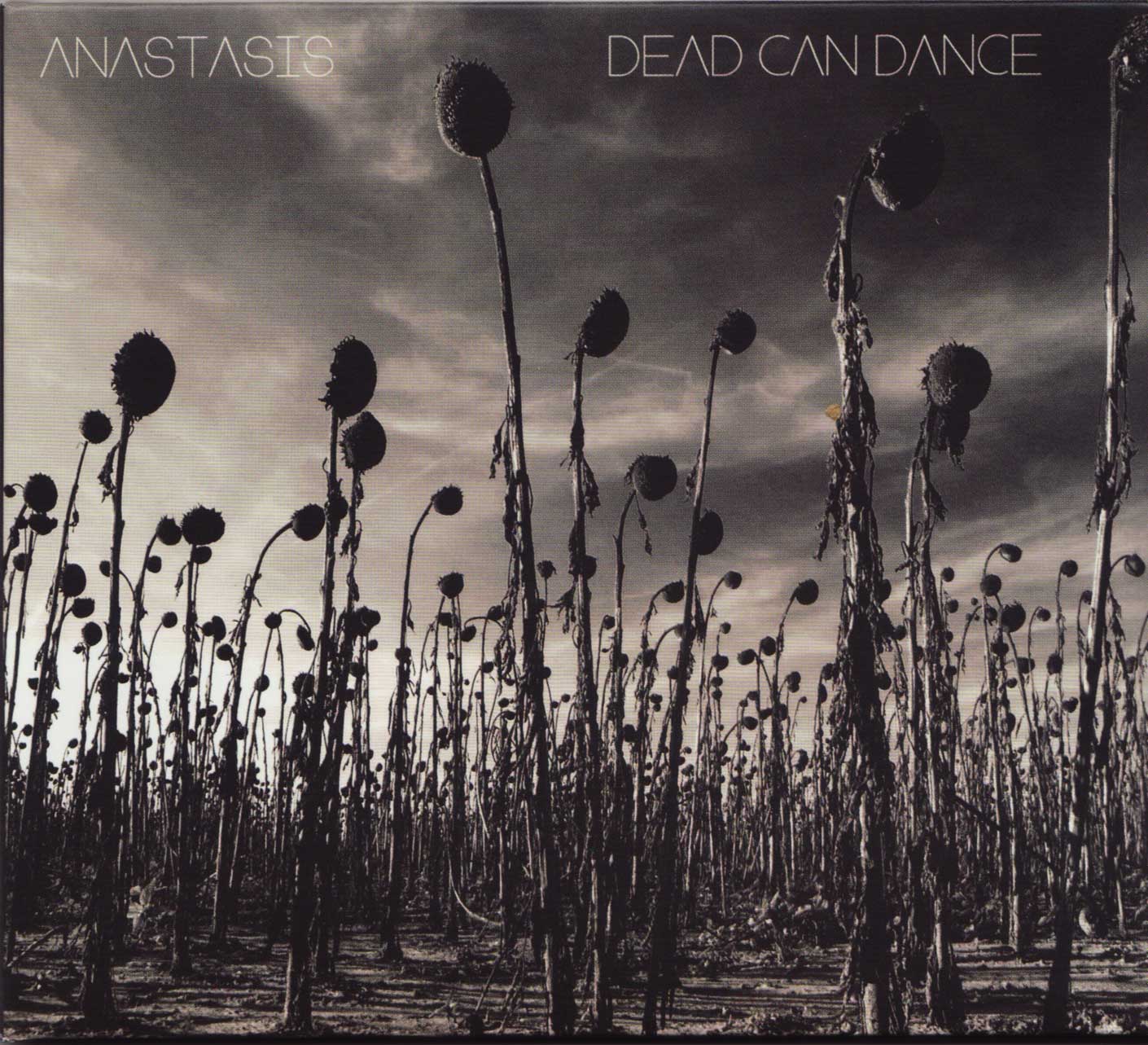 Anastasis